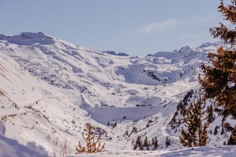 sneeuwzekere skigebieden